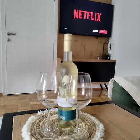 Apartment Golemovic Comfort *